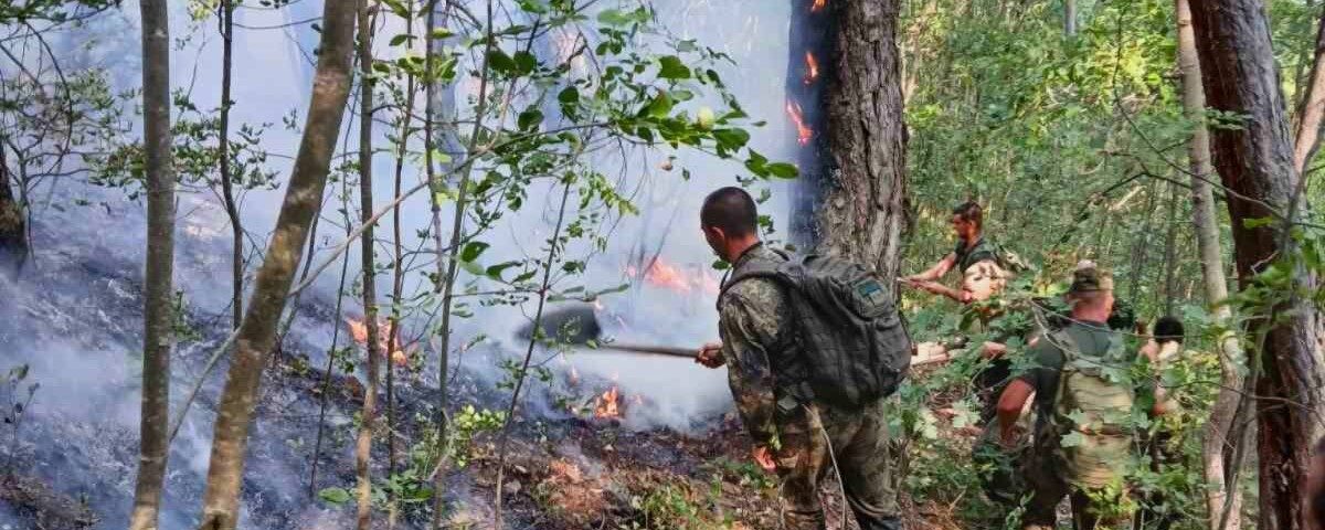 Военни гасят