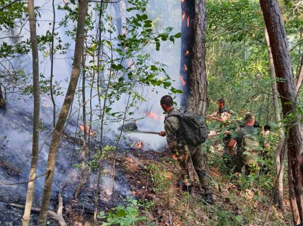 Военни гасят